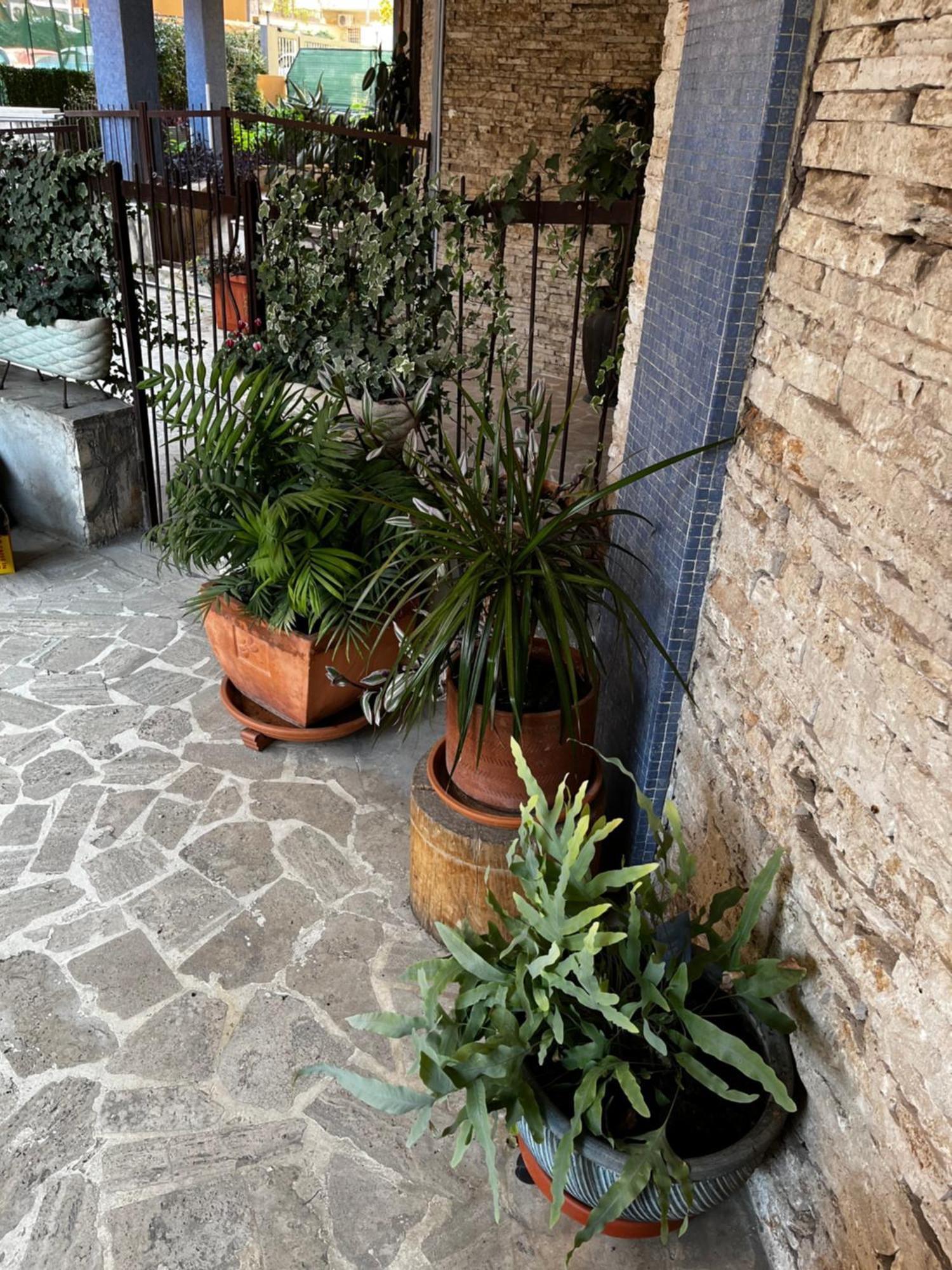 Casetta Romana Exterior photo